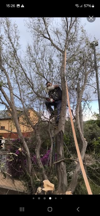 JARDINERO 9€ 8€.? O