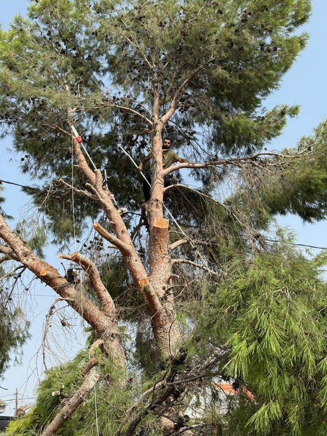 JARDINERO 9€ 8€.? O