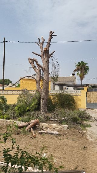 JARDINERO 9€ 8€.? O