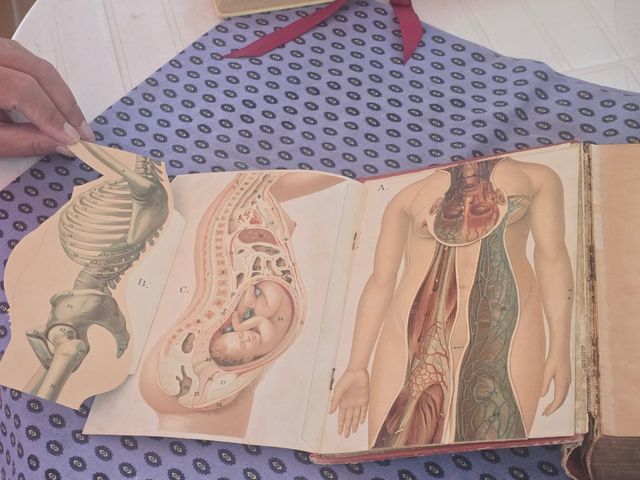 Livre D'or de la Santé