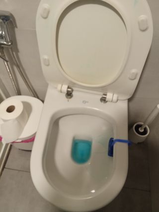 Fontanero manitas.