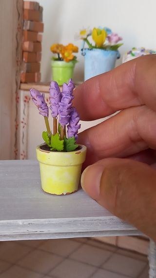 Mini vaso con pianta lavanda