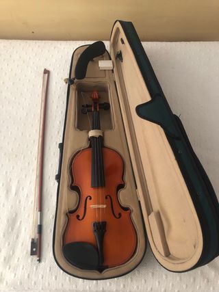 Violín con estuche