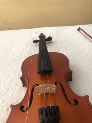 Violín con estuche