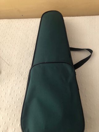 Violín con estuche