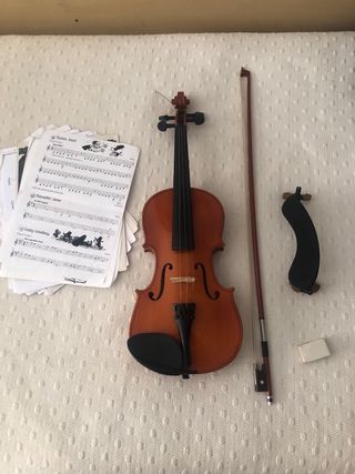 Violín con estuche