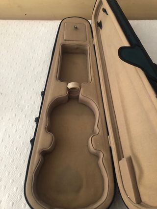Violín con estuche