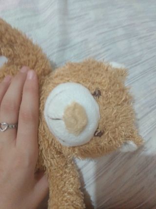 Peluche orsetto dolce