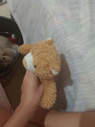 Peluche orsetto dolce