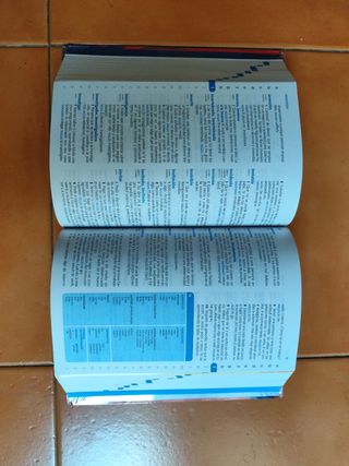 Diccionario de Primaria (Spanish Edition)