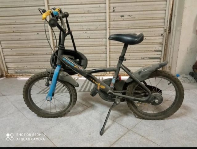 Bicicleta Infantil