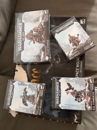Space Wolves Warhammer 40k - Lot