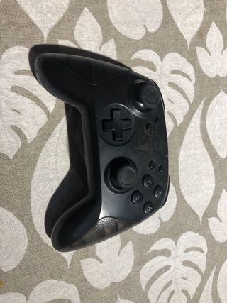 Nintendo Switch: mando pro