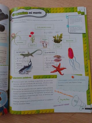 Ciencias de la Naturaleza 4. Pieza a pieza