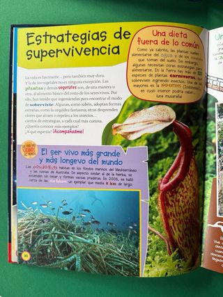 2 Libros de Geronimo Stilton Nuevos