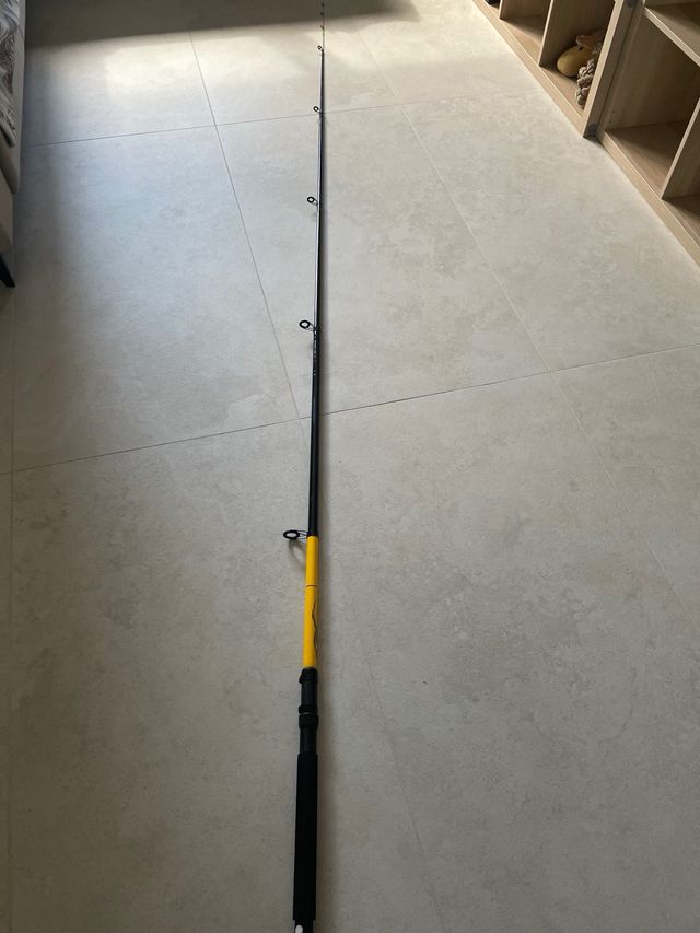 Canna Pesca Spider Boat 3m Lineaeffe