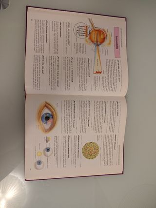1001 Preguntas y respuestas sobre el cuerpo humano