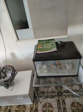 Acuario led 
