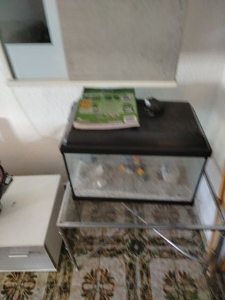 Acuario led 
