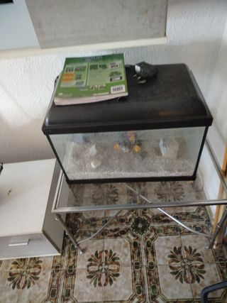Acuario led 

