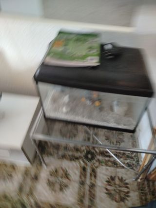Acuario led 
