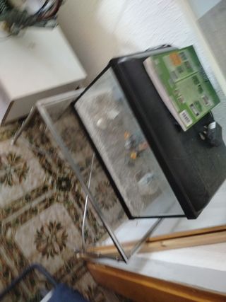 Acuario led 
