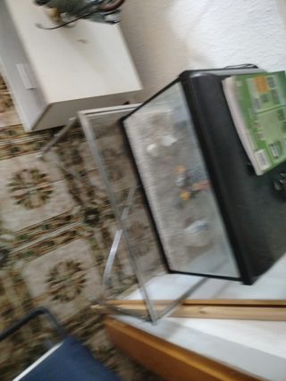 Acuario led 
