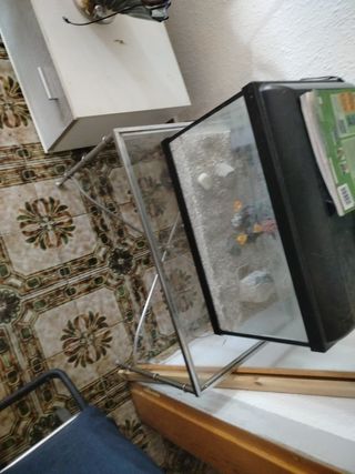 Acuario led 
