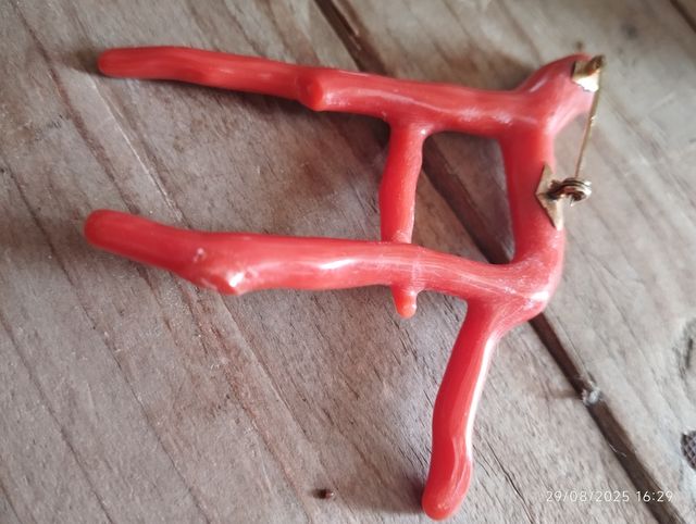 Spilla Corallo Rosso Sardegna