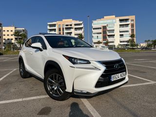 Lexus NX 2014