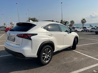 Lexus NX 2014