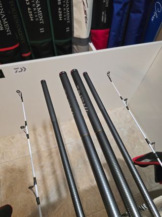 CAÑAS DAIWA TOURNAMENT COMPETITION Z 30-425H BE