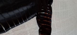 Top trasparente con maglia nera streaching