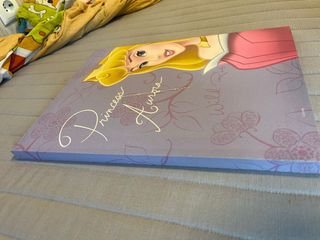 Cuadro Princesa Aurora Disney