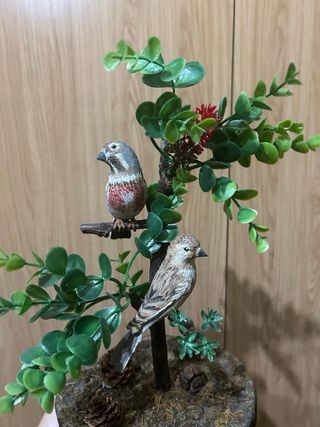 Diorama di uccelli decorativi, Silvestrismo 