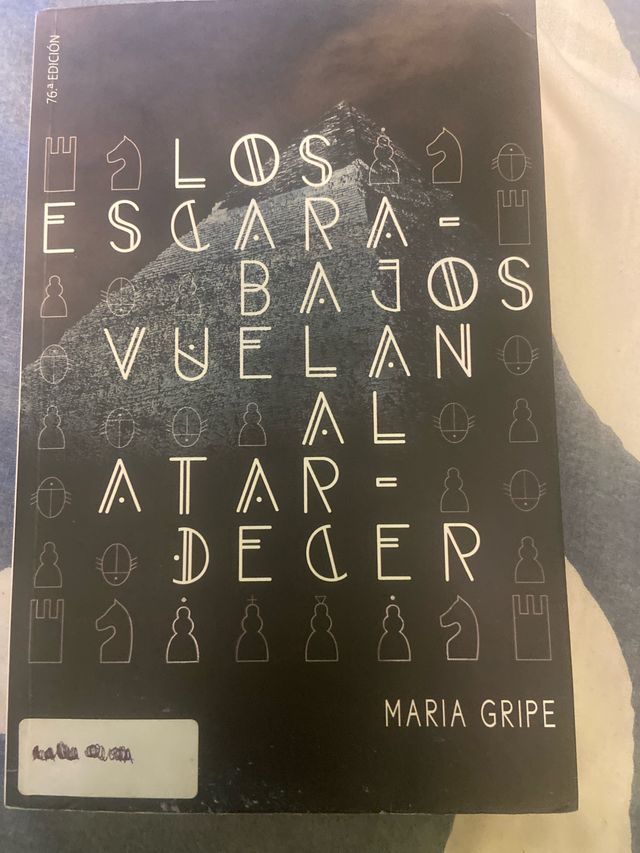 Los escarabajos vuelan al atardecer