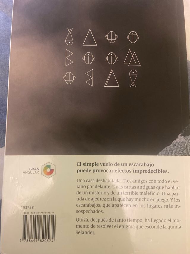 Los escarabajos vuelan al atardecer