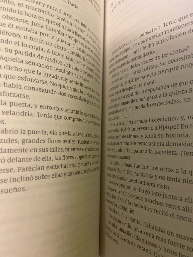 Los escarabajos vuelan al atardecer