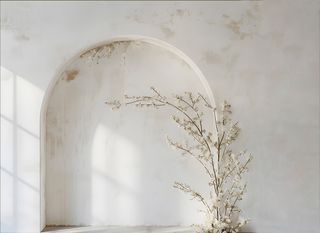 Lona fotográfica: fondo arco