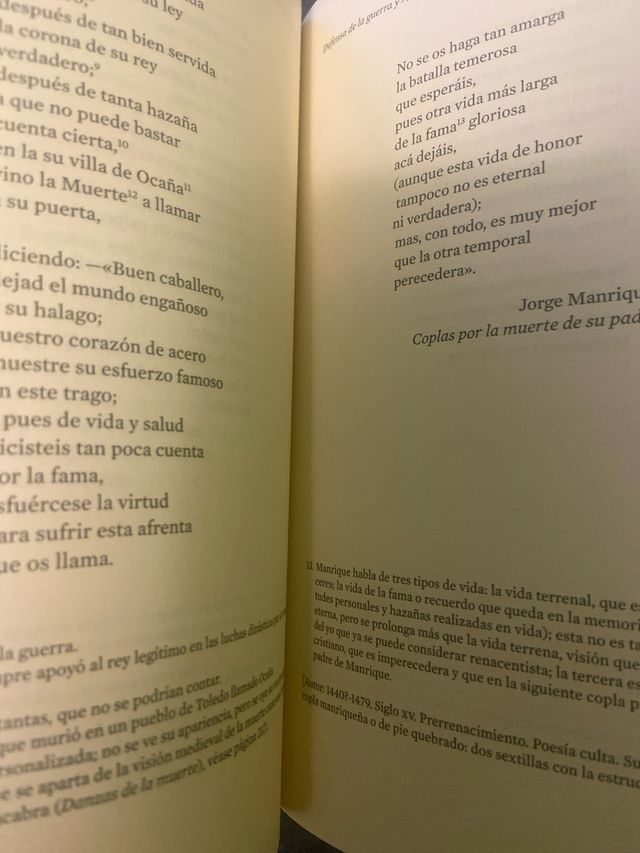 Nueve liras de hiedra y un secreto