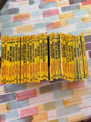 coleccion de 30 libros de Corin Tellado
