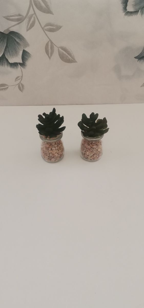 2 Frascos decorativos de plantas