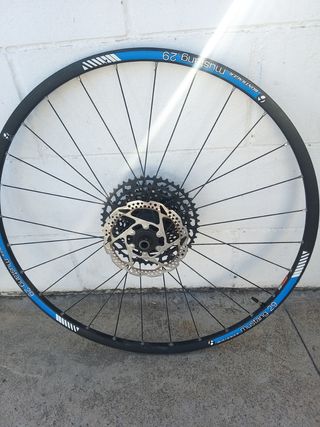 Llantas Bontrager Mustang 29