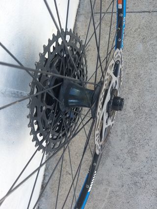 Llantas Bontrager Mustang 29