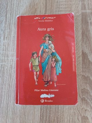 Aura gris (Alta Mar- Novela Historica/ Open Sea...