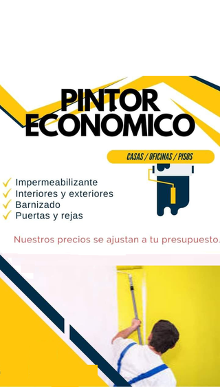 PINTOR PROFESIONAL Y ECONÓMICO