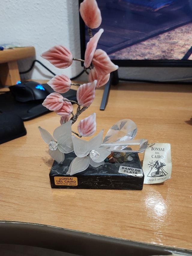 ✅️ BONSAI DEL CAIRO, DECORACIÓN UNICA.