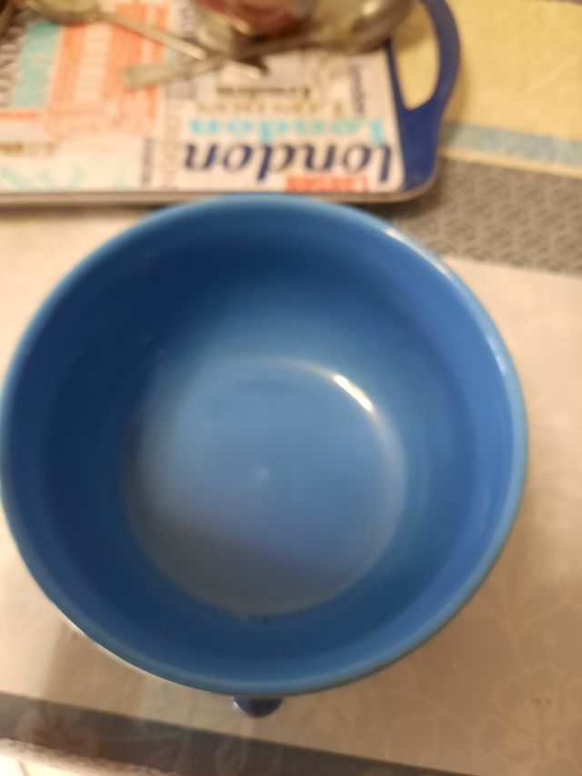 Ciotola per colazione blu con naso