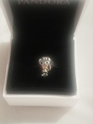 Charm Harry Potter 
