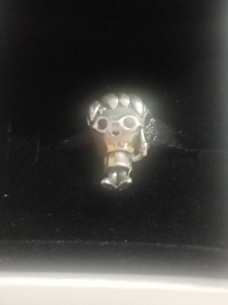 Charm Harry Potter 